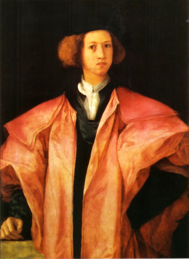 Genç Bir Adam Portresi - Pontormo