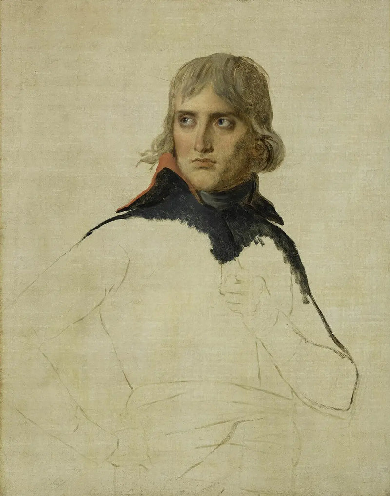 Bonaparte'ın Tamamlanmamış Portresi - Jacques-Louis David