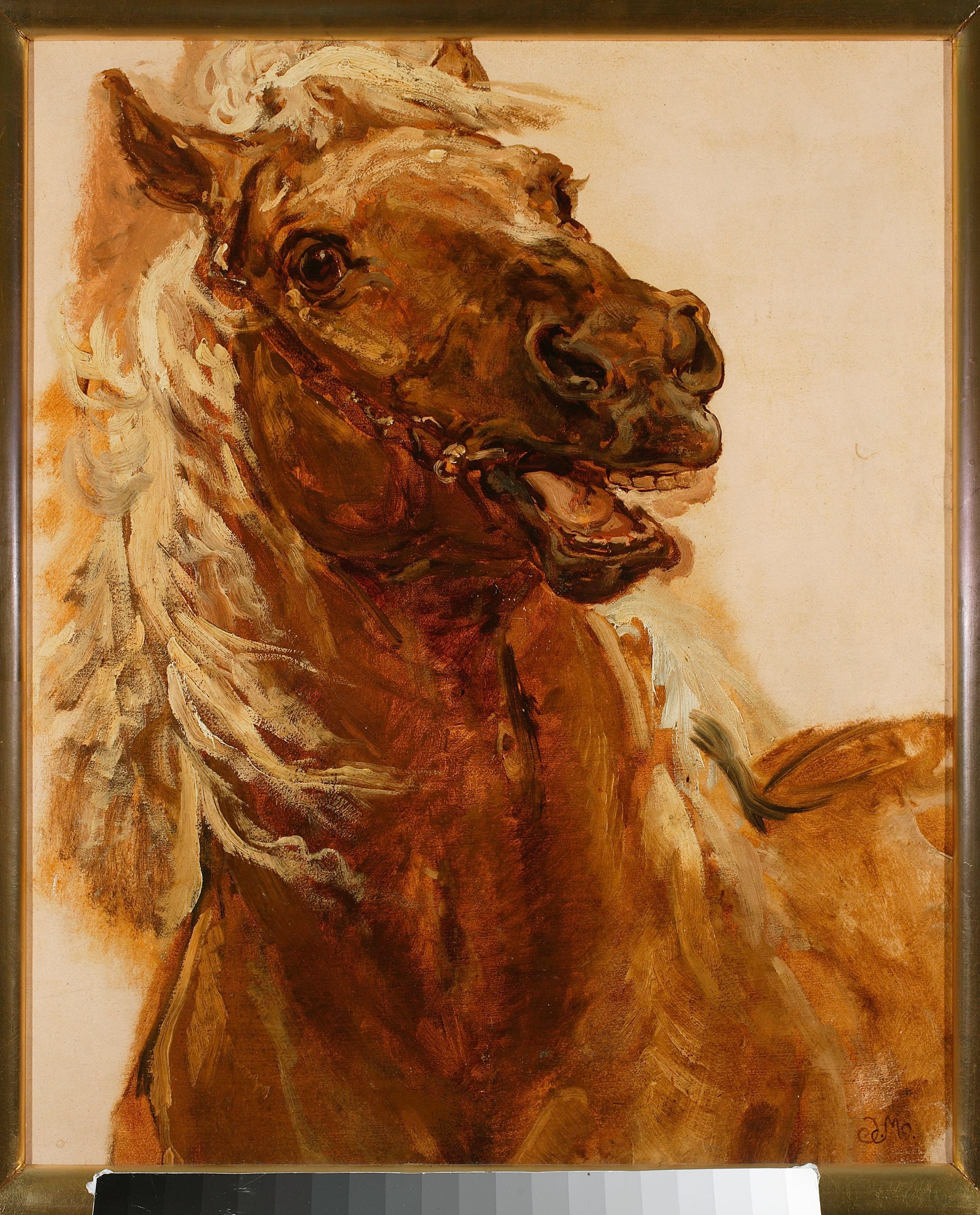 Croquis d'une tête de cheval pour le tableau « Zamoyski à Byczyna » - Jan Matejko