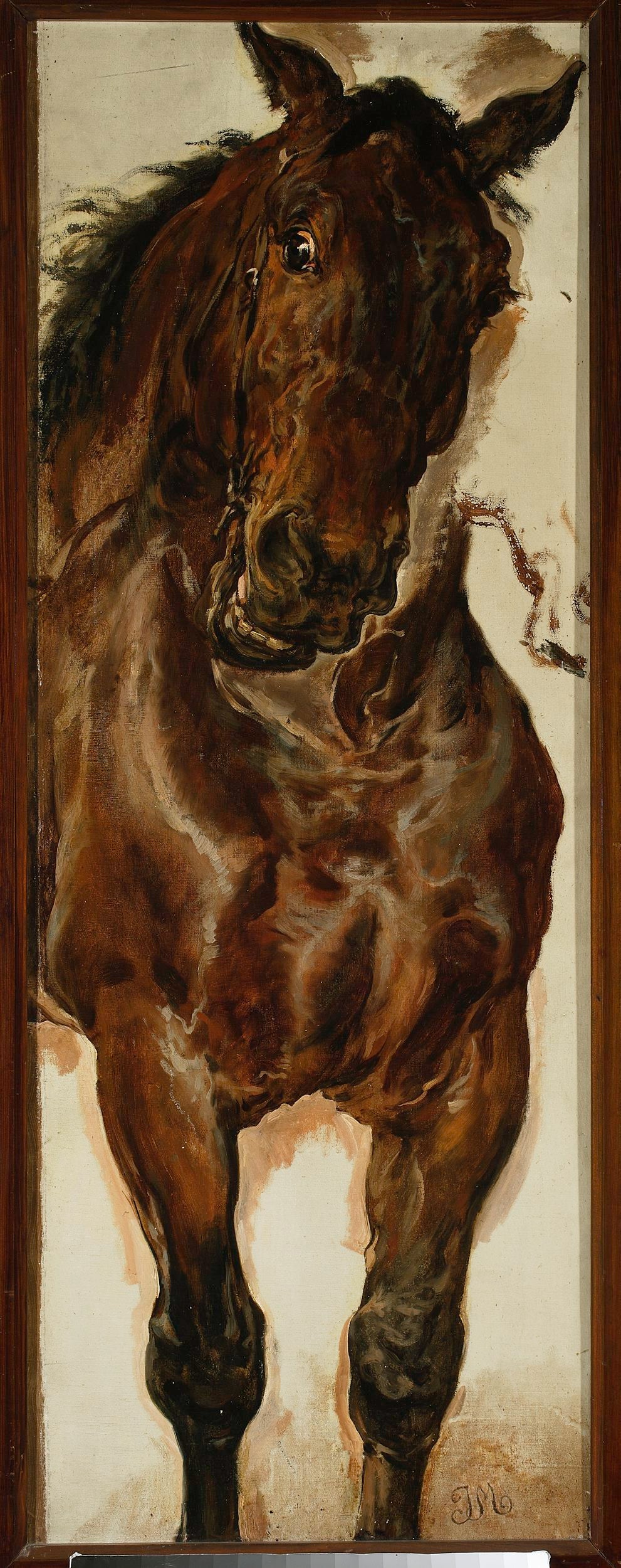 Étude d'une tête de cheval pour « Bataille de Grunwald » - Jan Matejko