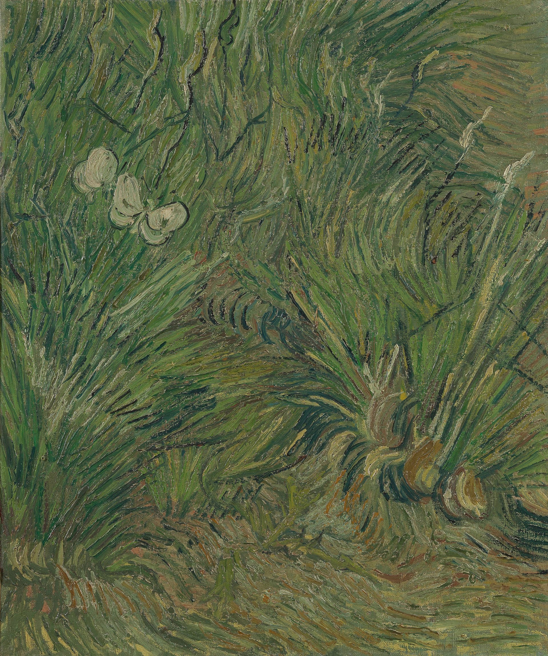 Kelebekler Bahçesi - Vincent van Gogh