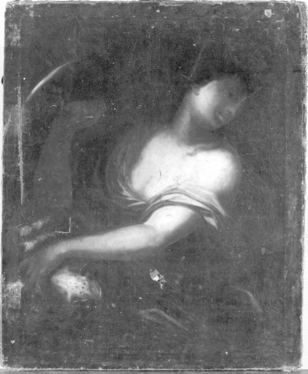 Q30094382 - Johann Heinrich Schönfeld