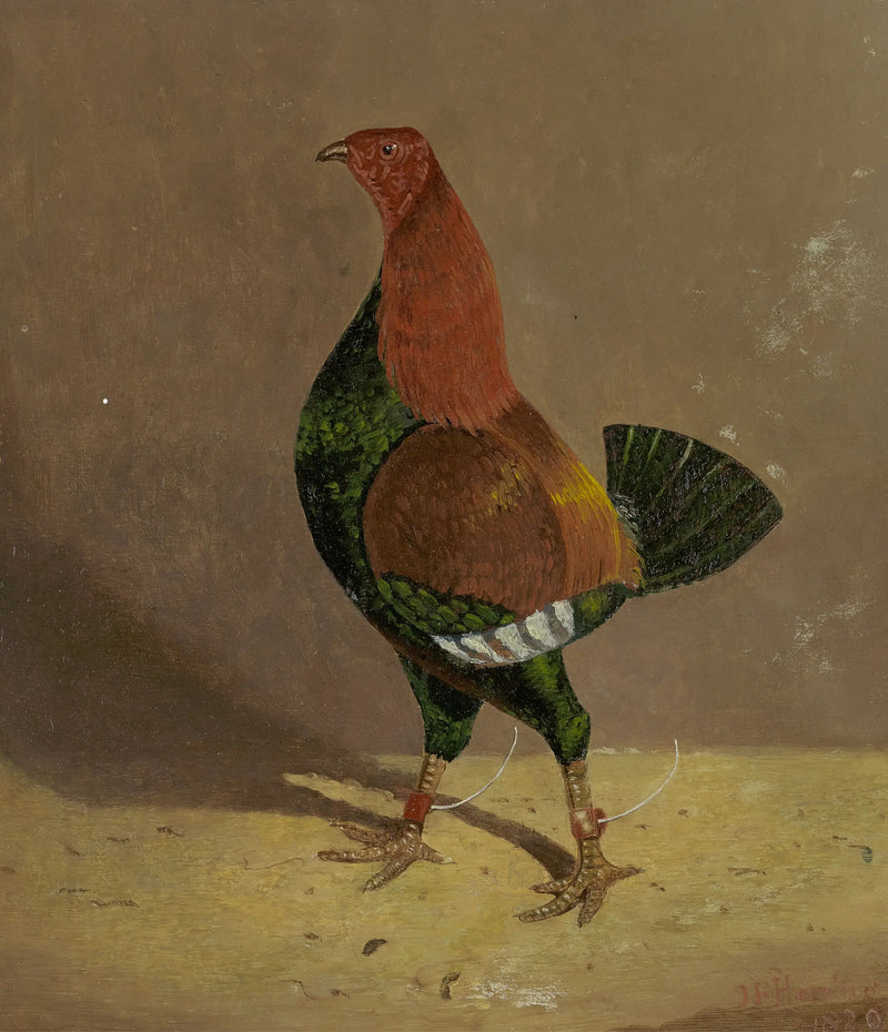 Dövüş horozları: sol tarafa dönük, koyu göğüslü dövüş horozu - John Frederick Herring, Sr.