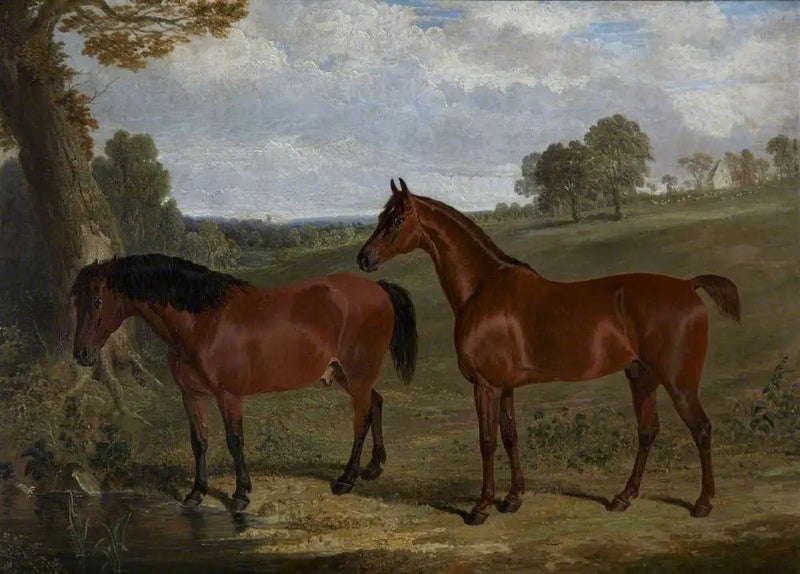 Bir beyaz at ve bir poninin bir manzarada - John Frederick Herring, Sr.