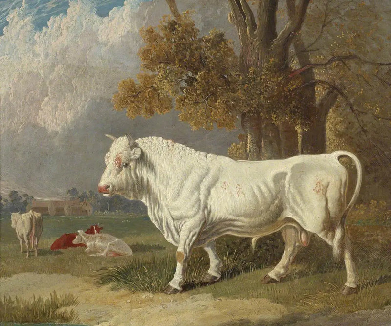Beyaz Boğa, Fulbourn, Cambridgeshire, 1830 - John Frederick Herring, Sr.