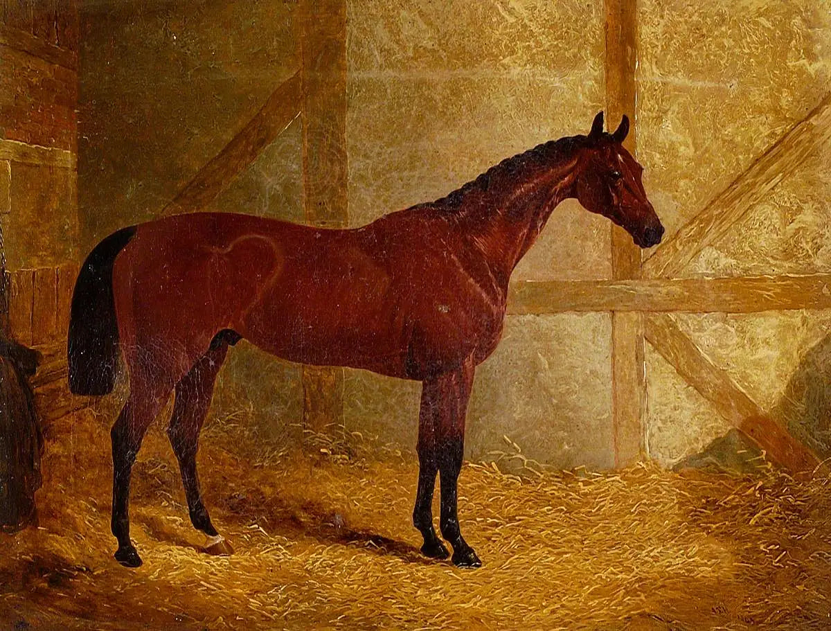 Cotherstone vainqueur du Derby - John Frederick Herring Sr. - Alpha Reproduction