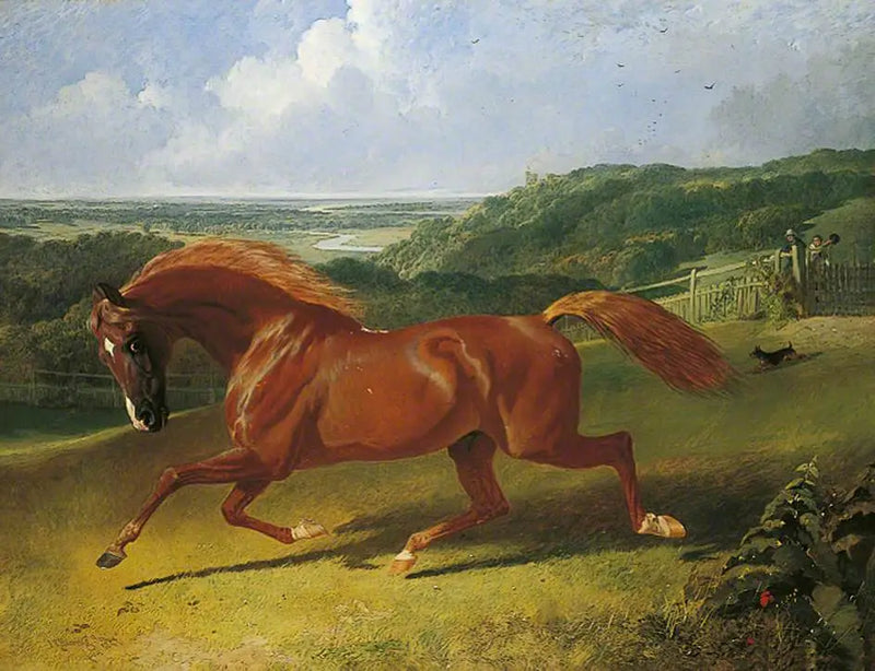 Yarışan At Bir Tarlada - John Frederick Herring, Sr.
