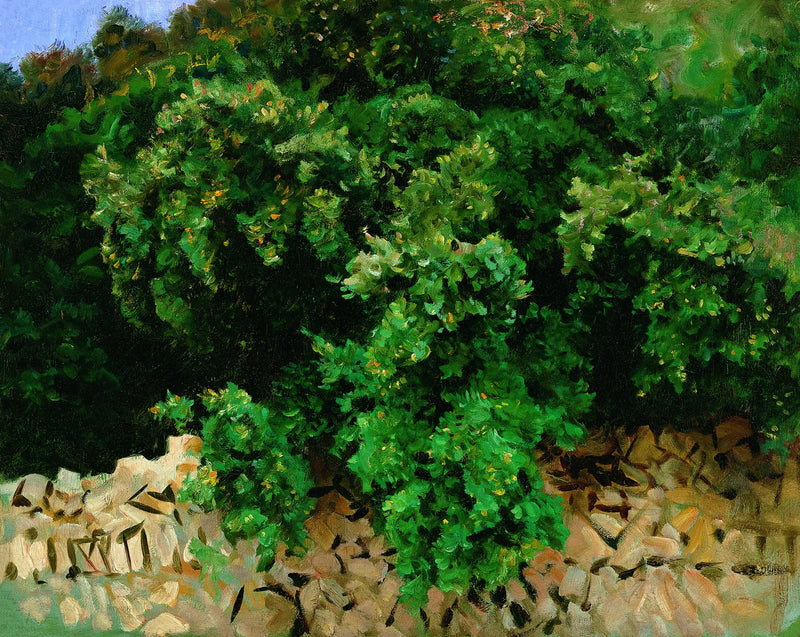 Ilex Ağacı. Mallorca - John Singer Sargent