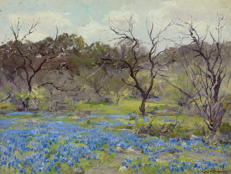 İlkbahar başlangıcı — Mavi lupinler ve mesquite ağaçları - Julian Onderdonk