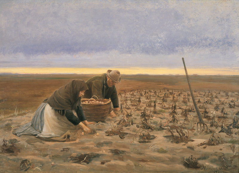 Récolte de pommes de terre - Michael Peter Ancher