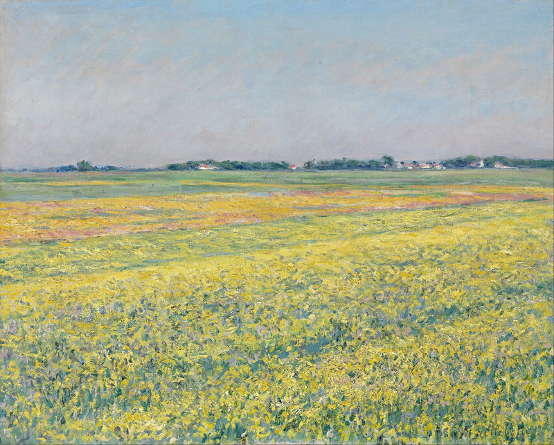 Gennevilliers Ovası, sarı tarlalar - Gustave Caillebotte