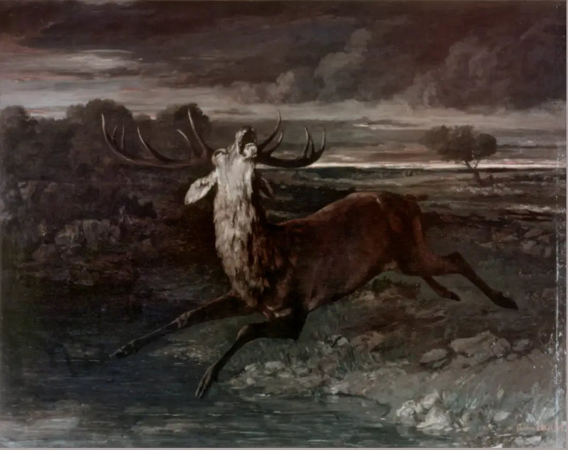 Su İçen Geyik - Gustave Courbet