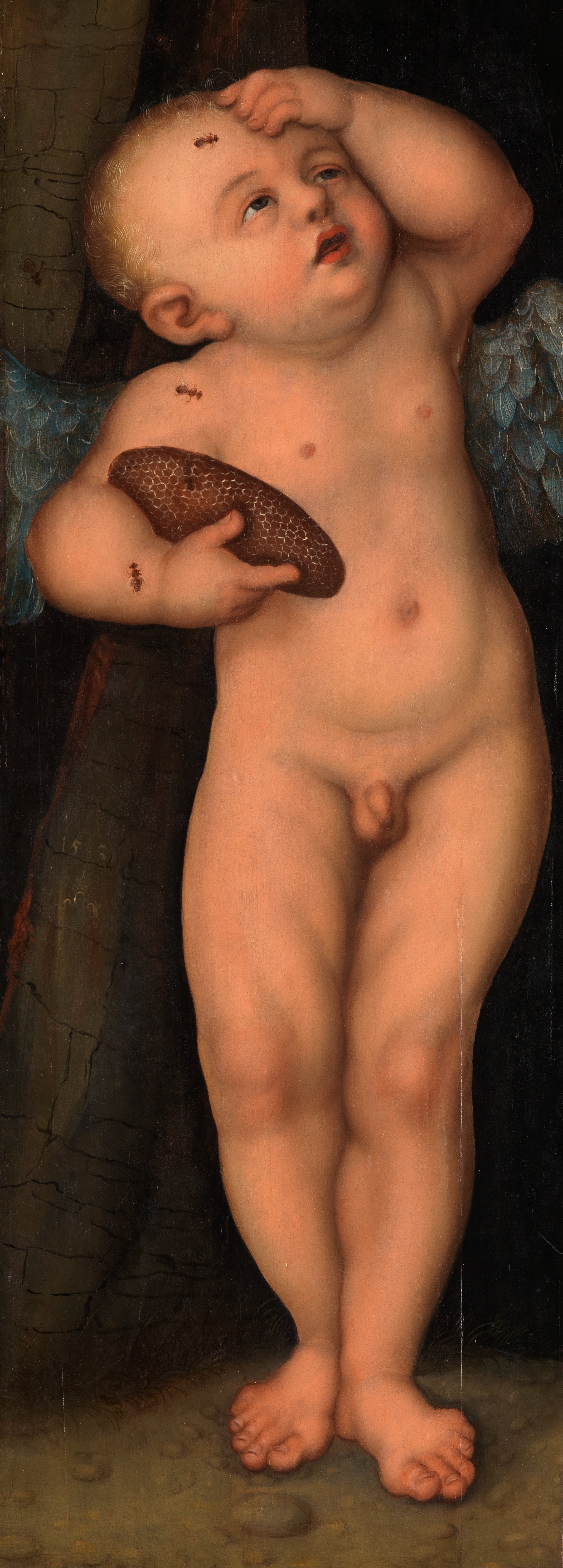 Cupidon comme voleur de miel - Lucas Cranach the Elder
