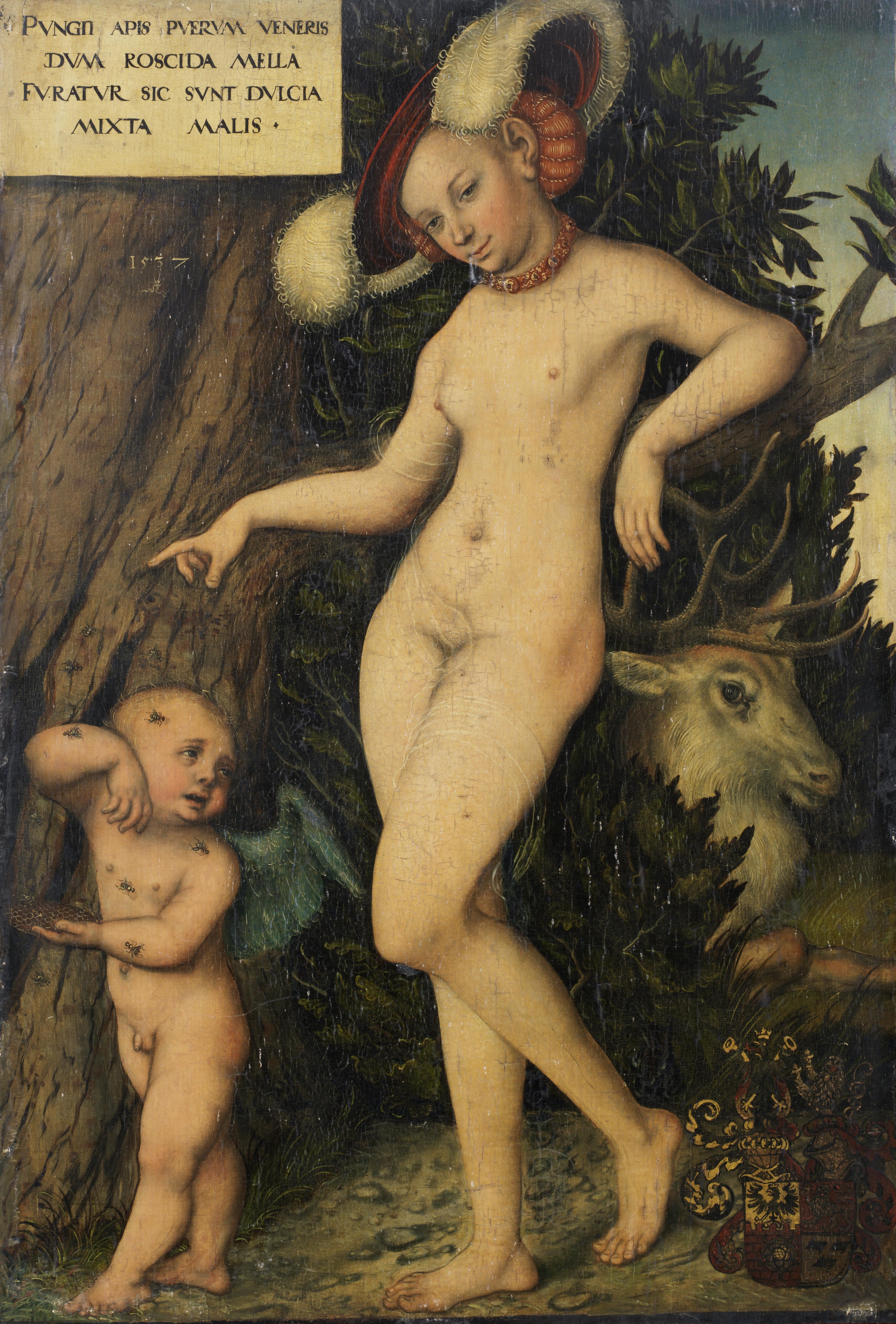 Vénus et Cupidon - Lucas Cranach the Elder