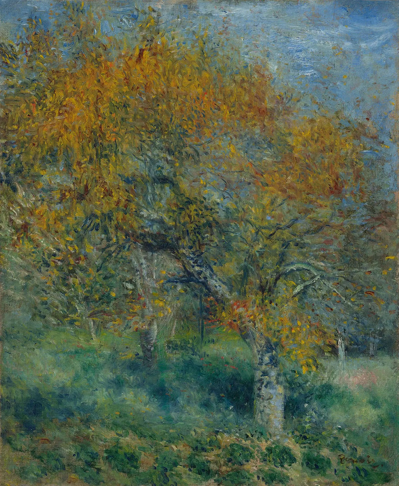 Armut Ağacı - Pierre-Auguste Renoir