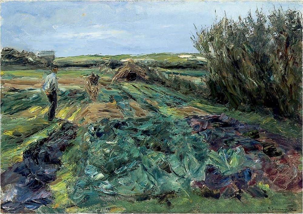 Lahana Tarlası (Noordwijk Lahana Tarlası) - Max Liebermann