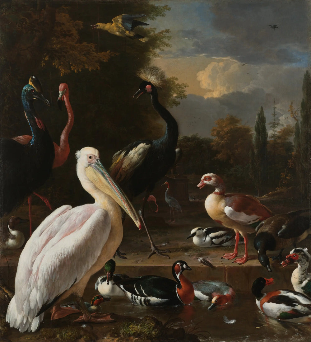 La plume flottante - Melchior de Hondecoeter - Alpha Reproduction