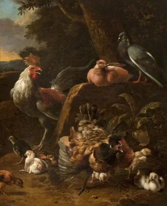 Kuşlar ve güvercinler - Melchior de Hondecoeter