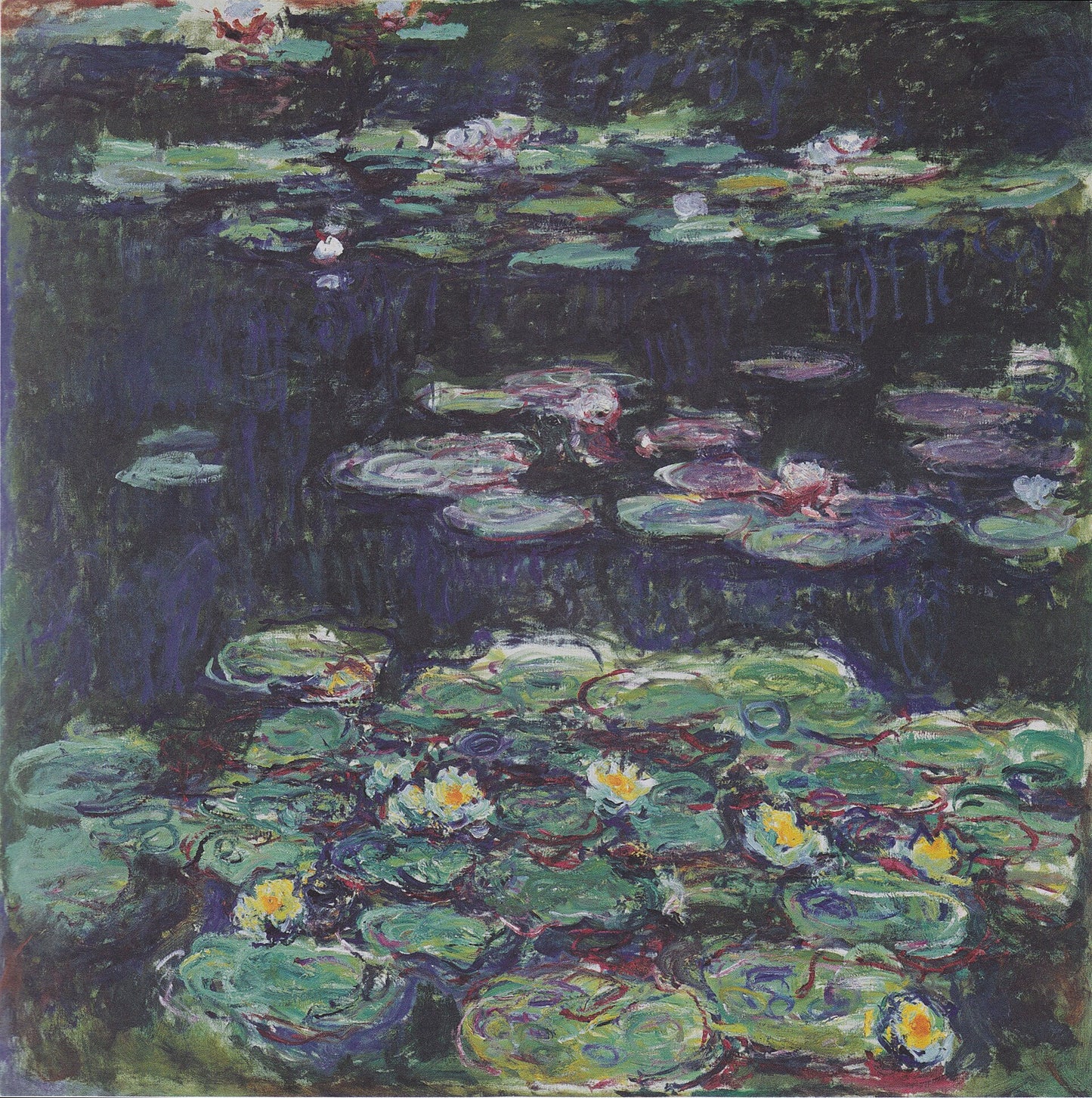 🎨 Nilüferler – Beyaz ve sarı çiçekler