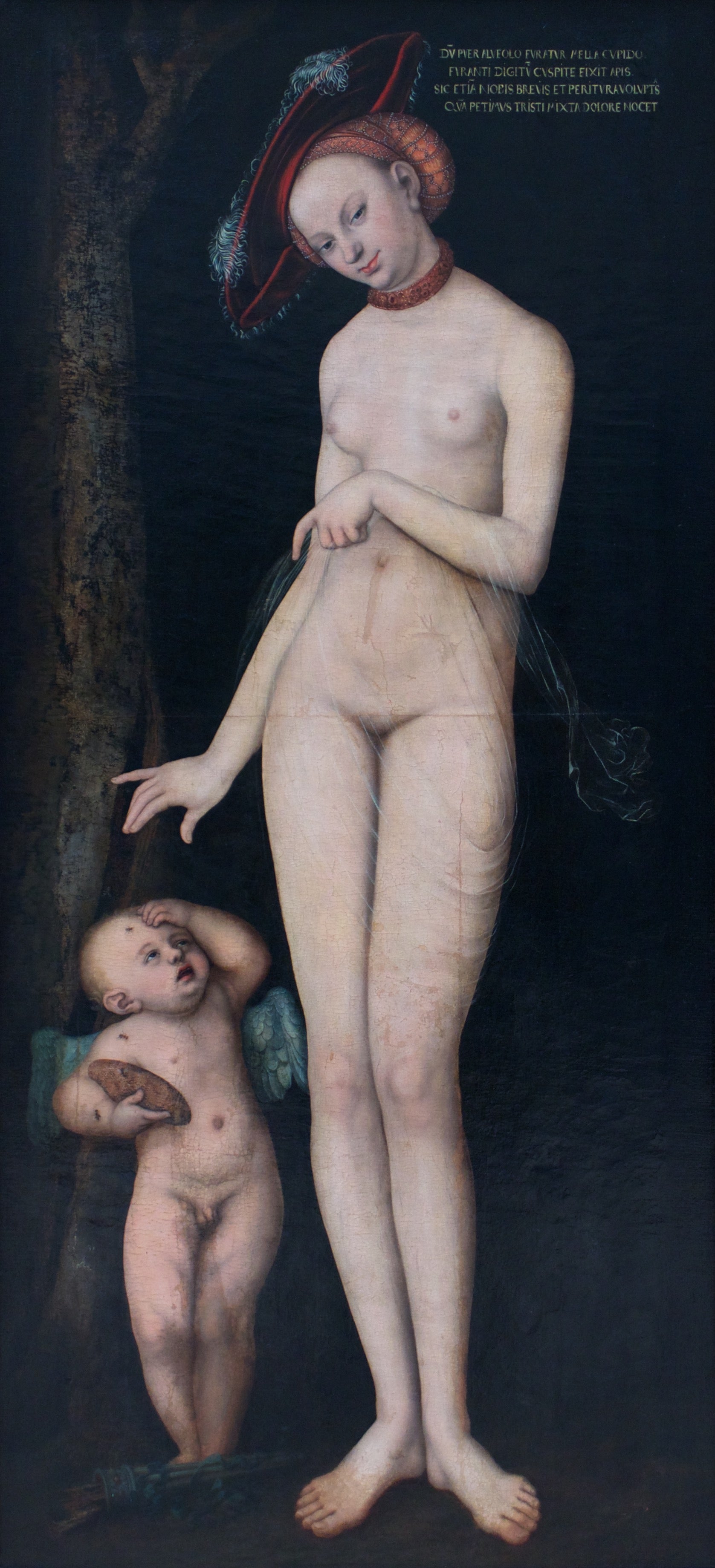 Vénus et l'Amour - Lucas Cranach the Elder
