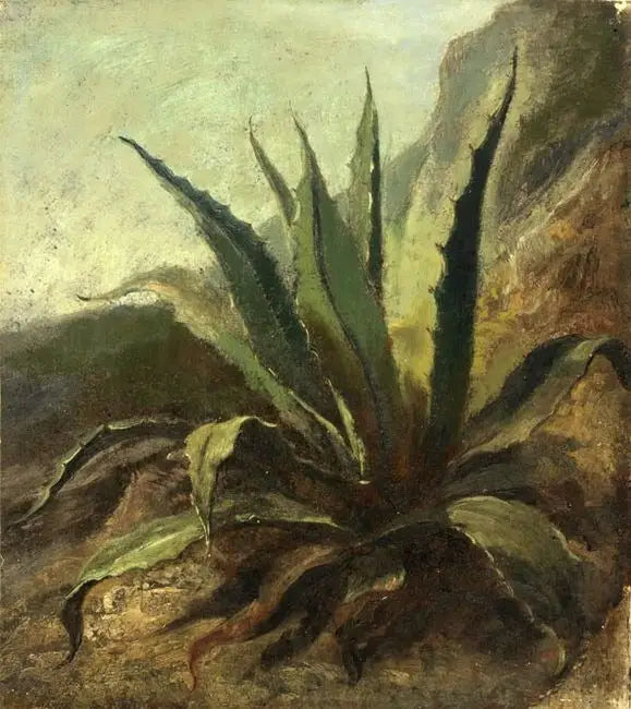 Fas'ta Agave - Eugène Delacroix