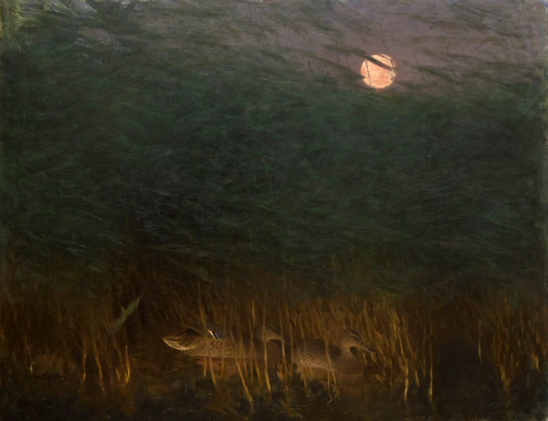 Ambiance nocturne avec des canards sauvages - Bruno Liljefors