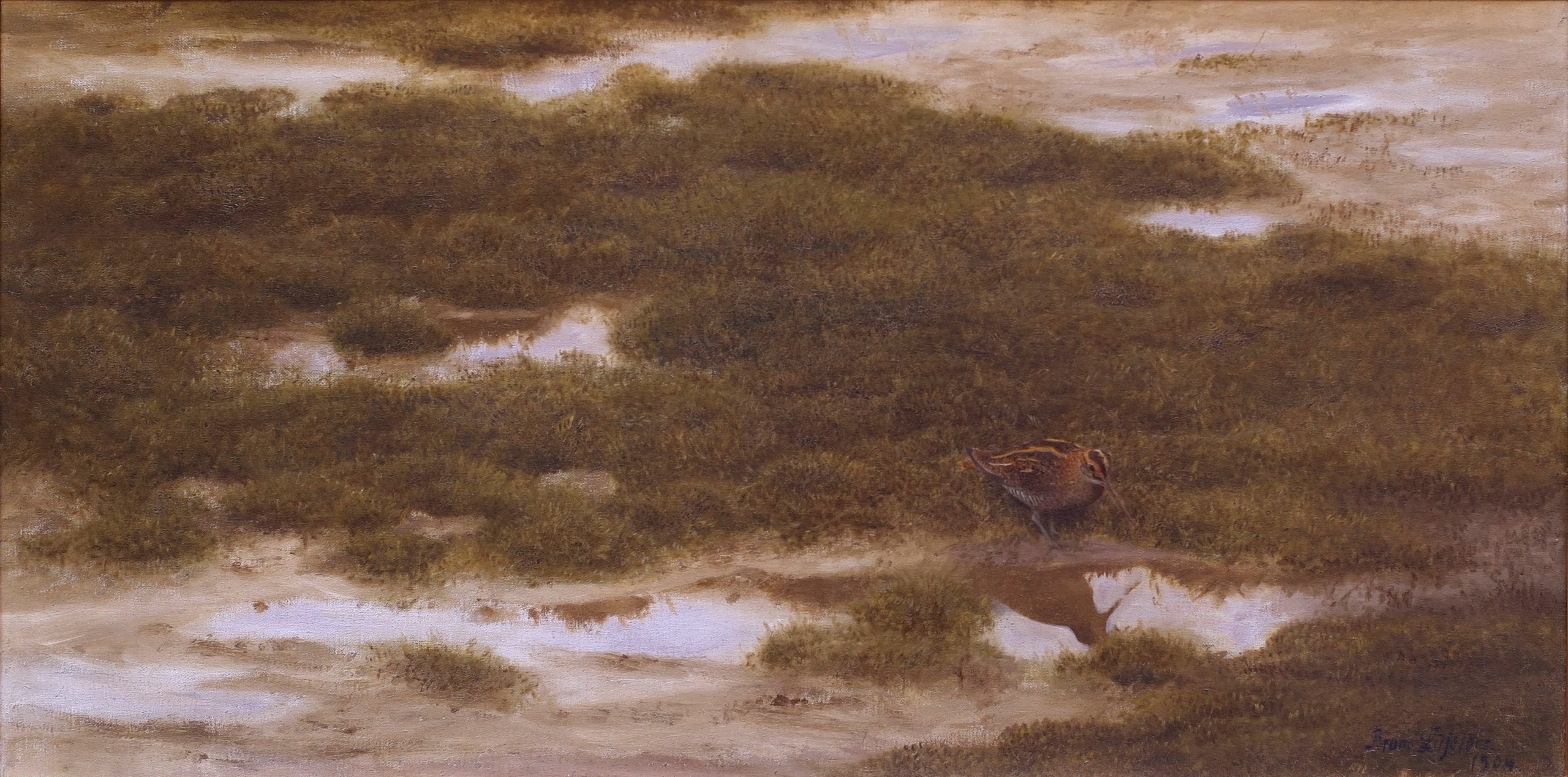 Bécassine - Bruno Liljefors