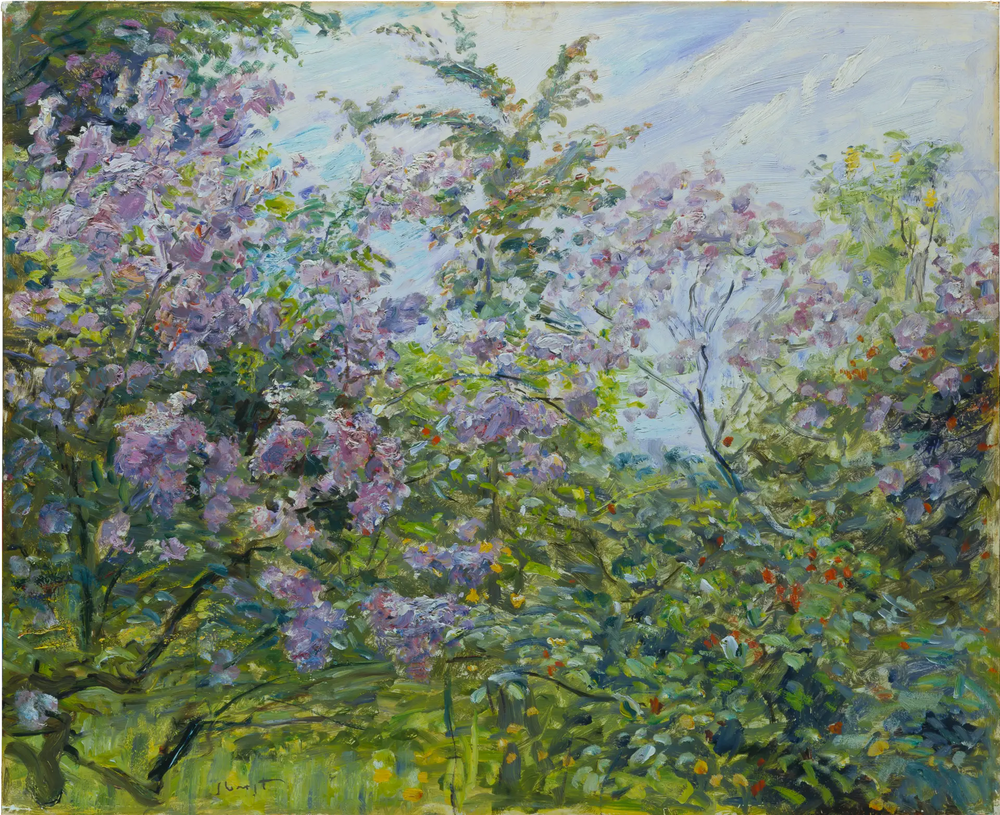Blossoming Lilac - Max Slevogt - Alpha Reproduction
