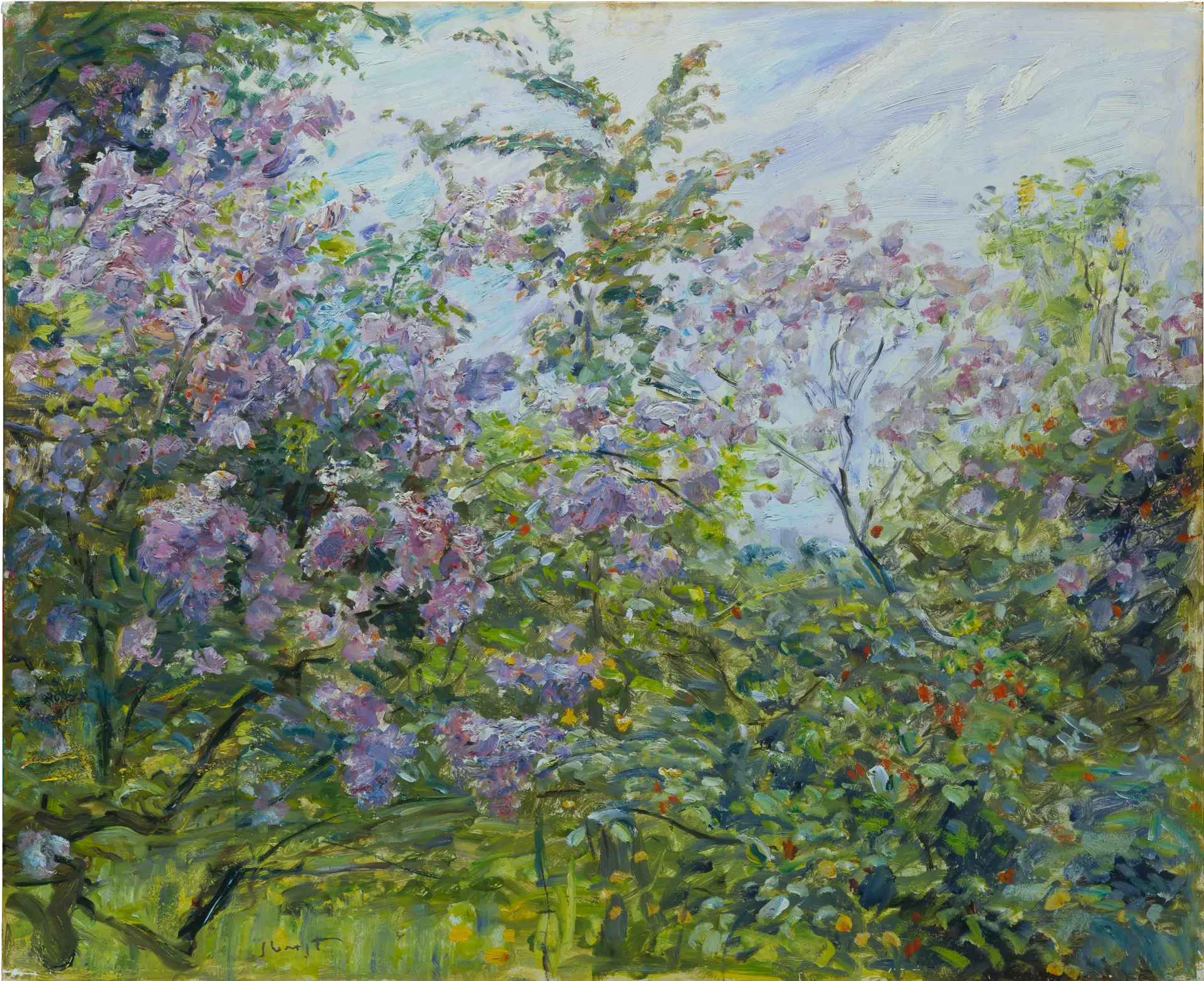 Blossoming Lilac - Max Slevogt - Alpha Reproduction