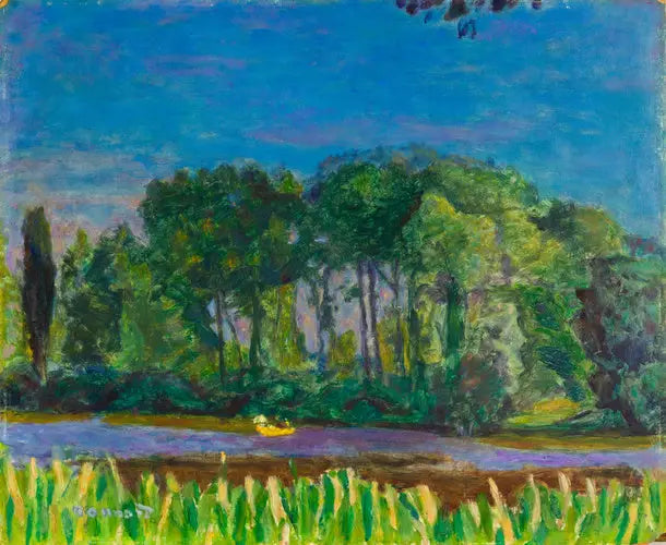 Seine Kenarları - Pierre Bonnard