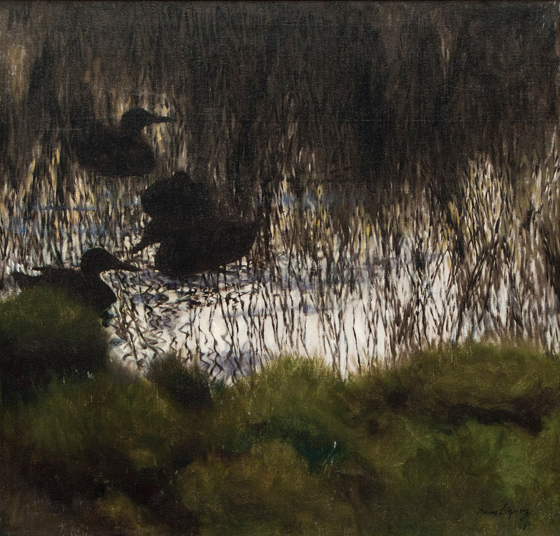 Canards sauvages dans les roseaux - Bruno Liljefors