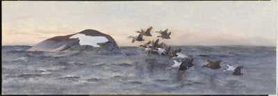 Des eiders volant près d'une falaise - Bruno Liljefors