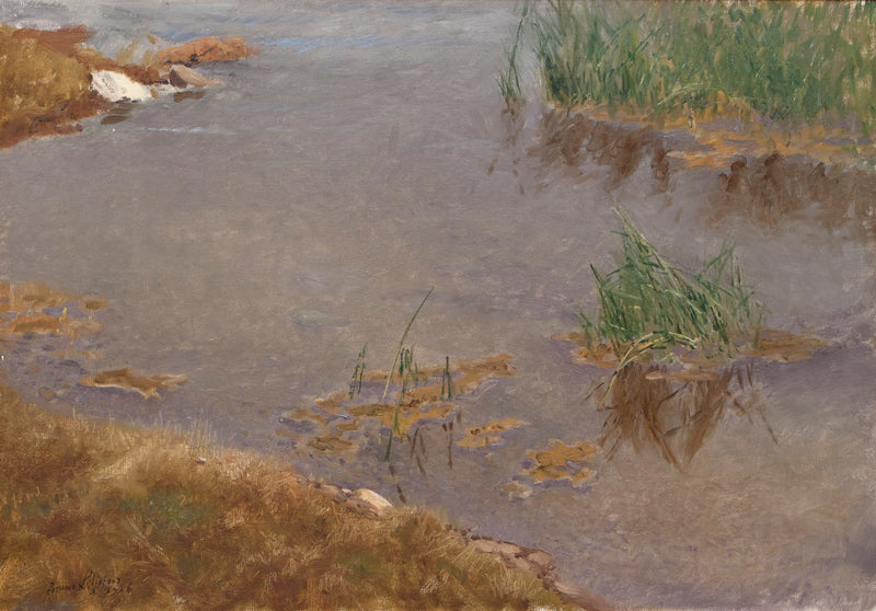 Eaux peu profondes - Bruno Liljefors