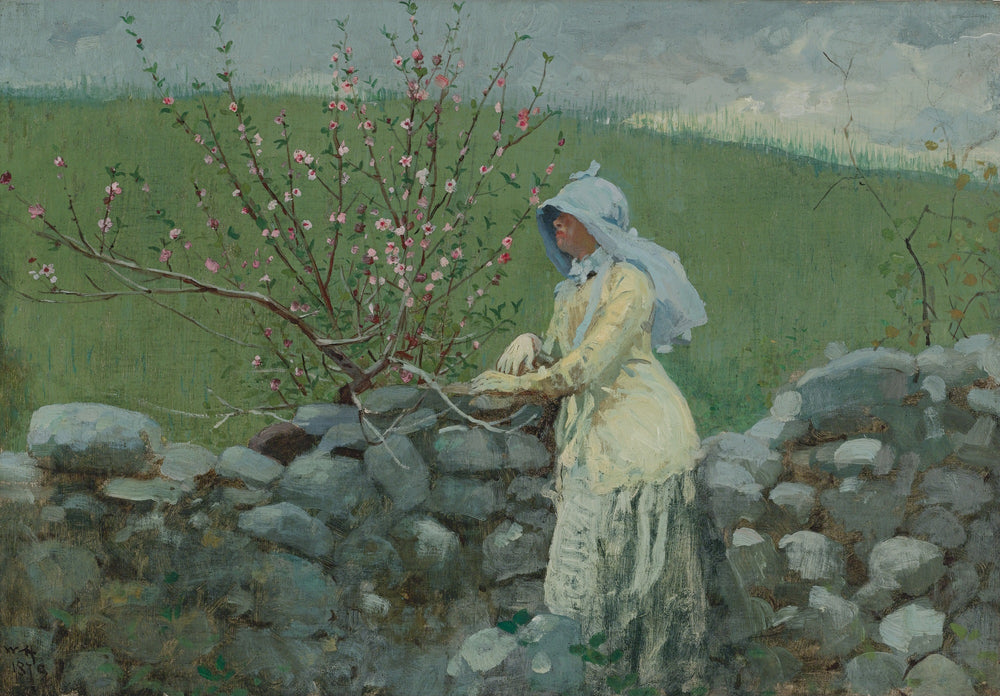 Fleurs de pêcher - Winslow Homer