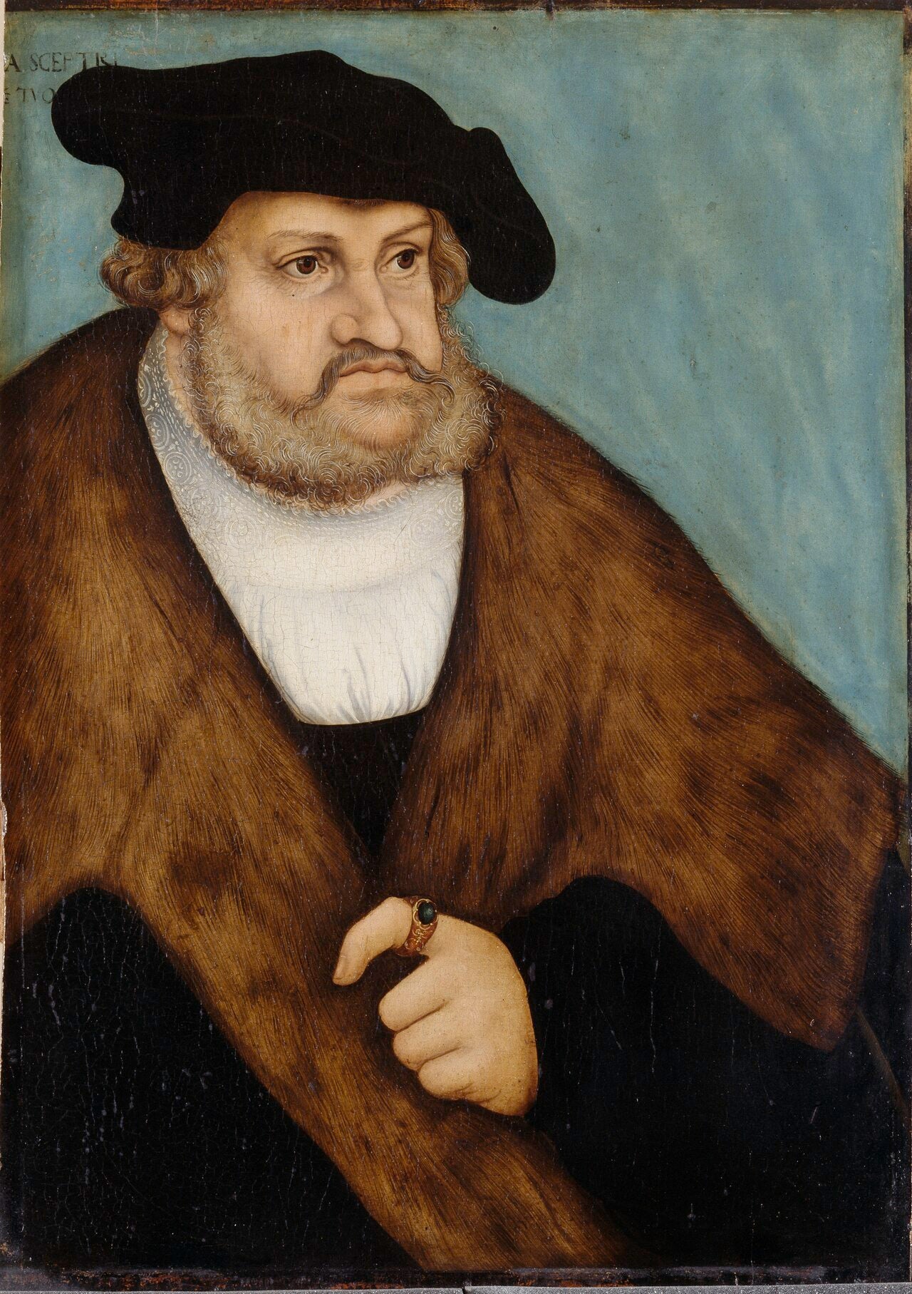 Frédéric le Sage, électeur de Saxe - Lucas Cranach the Elder