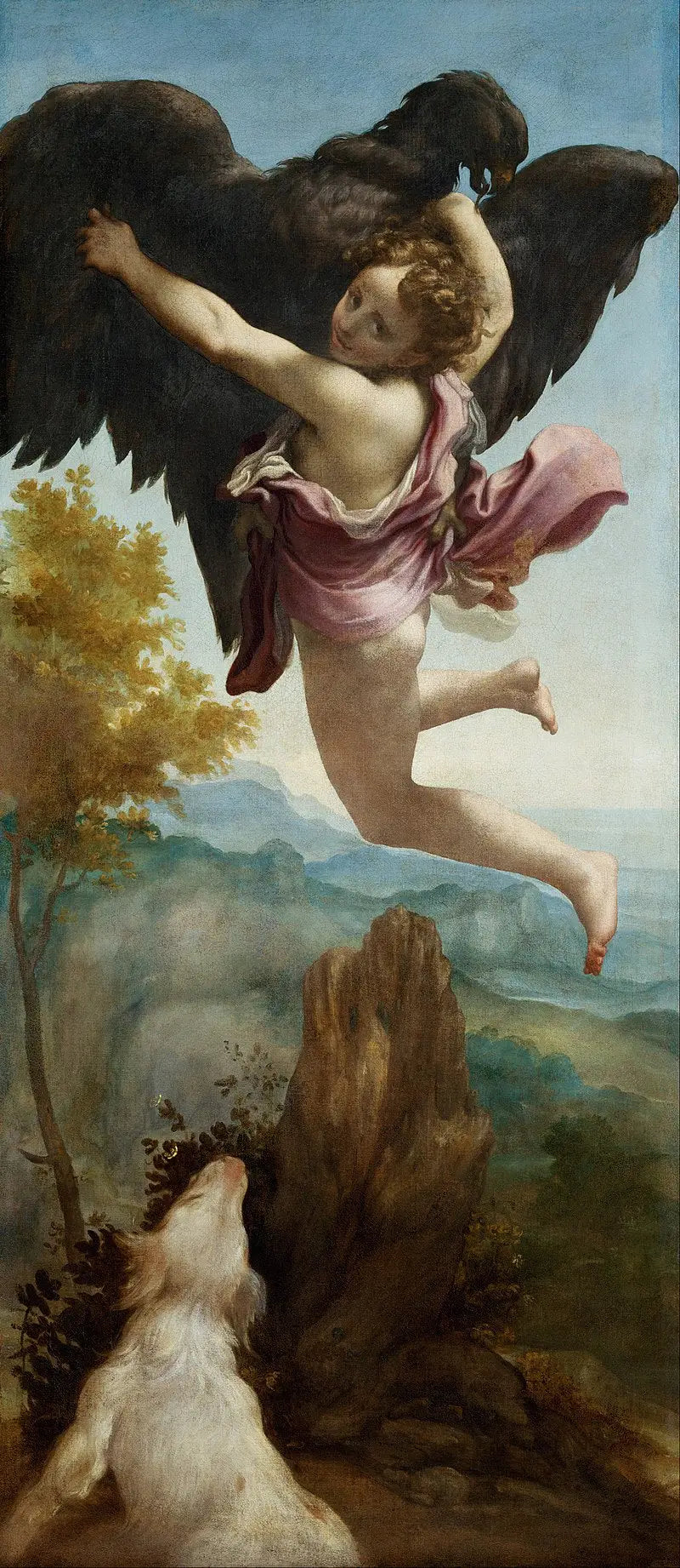 Ganymede'nin Kaçırılması - Antonio da Correggio