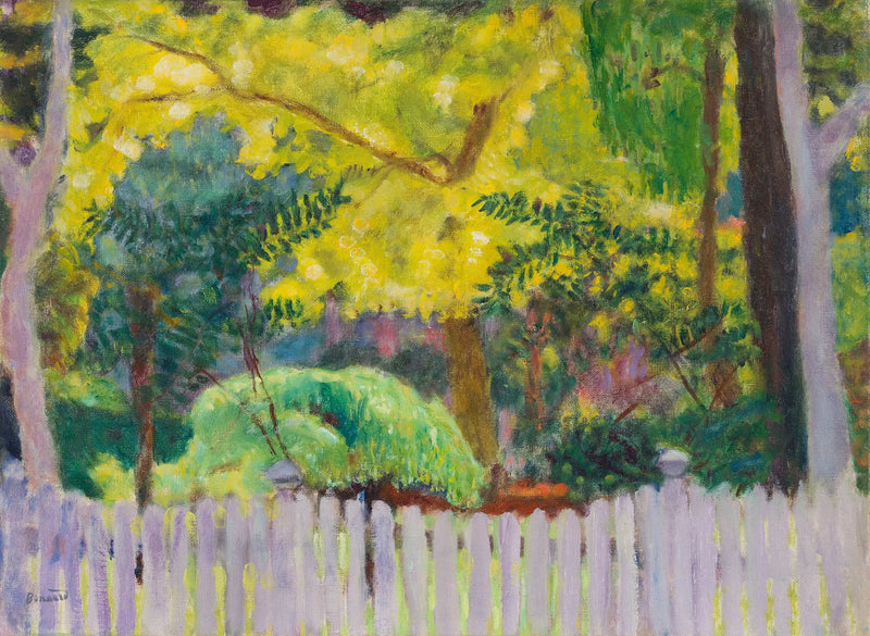 Mor Çit - Pierre Bonnard