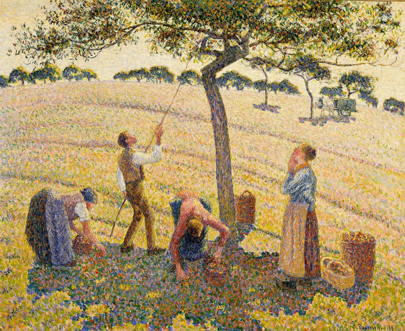 Éragny'de Elma Hasadı - Camille Pissarro