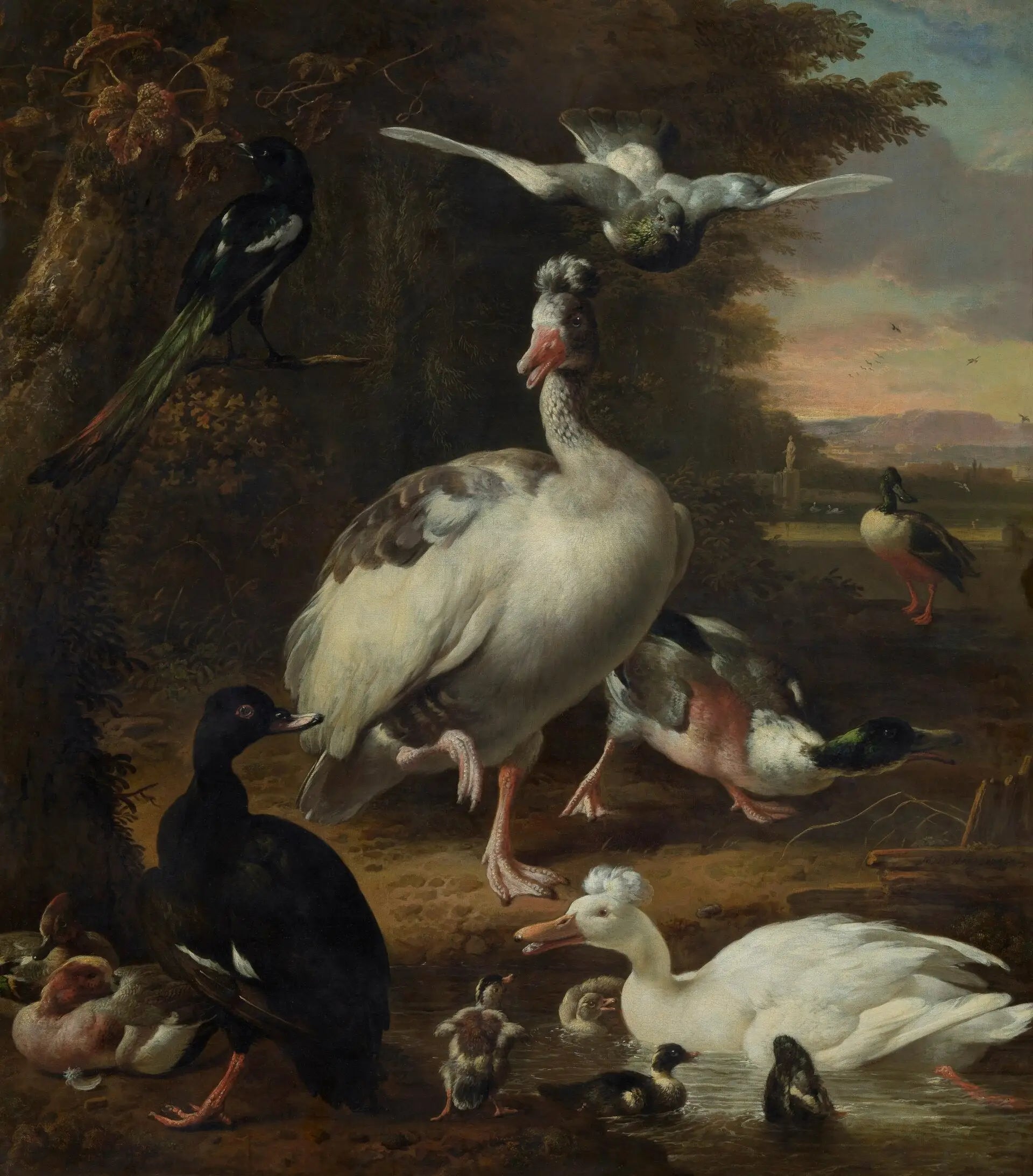 Oiseaux - Melchior de Hondecoeter - Alpha Reproduction