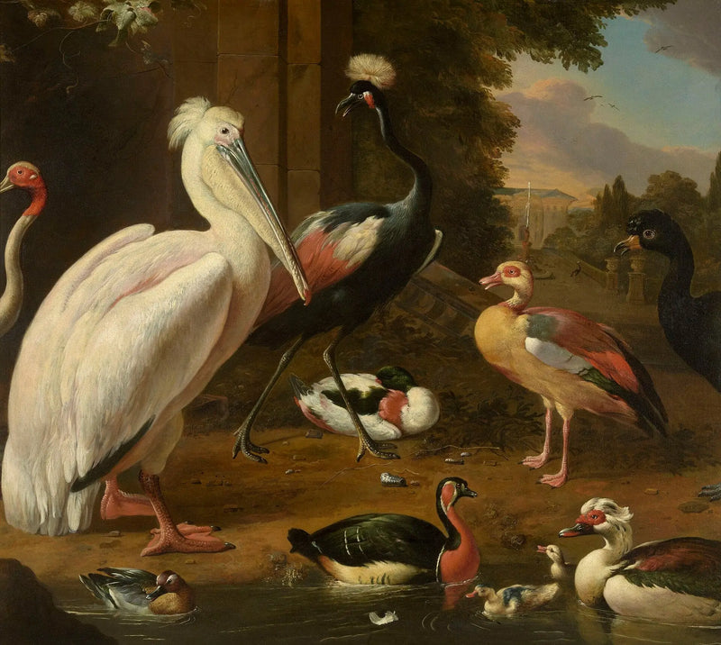 Su Kuşları - Melchior de Hondecoeter
