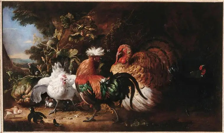 Kümes Hayvanları - Melchior de Hondecoeter