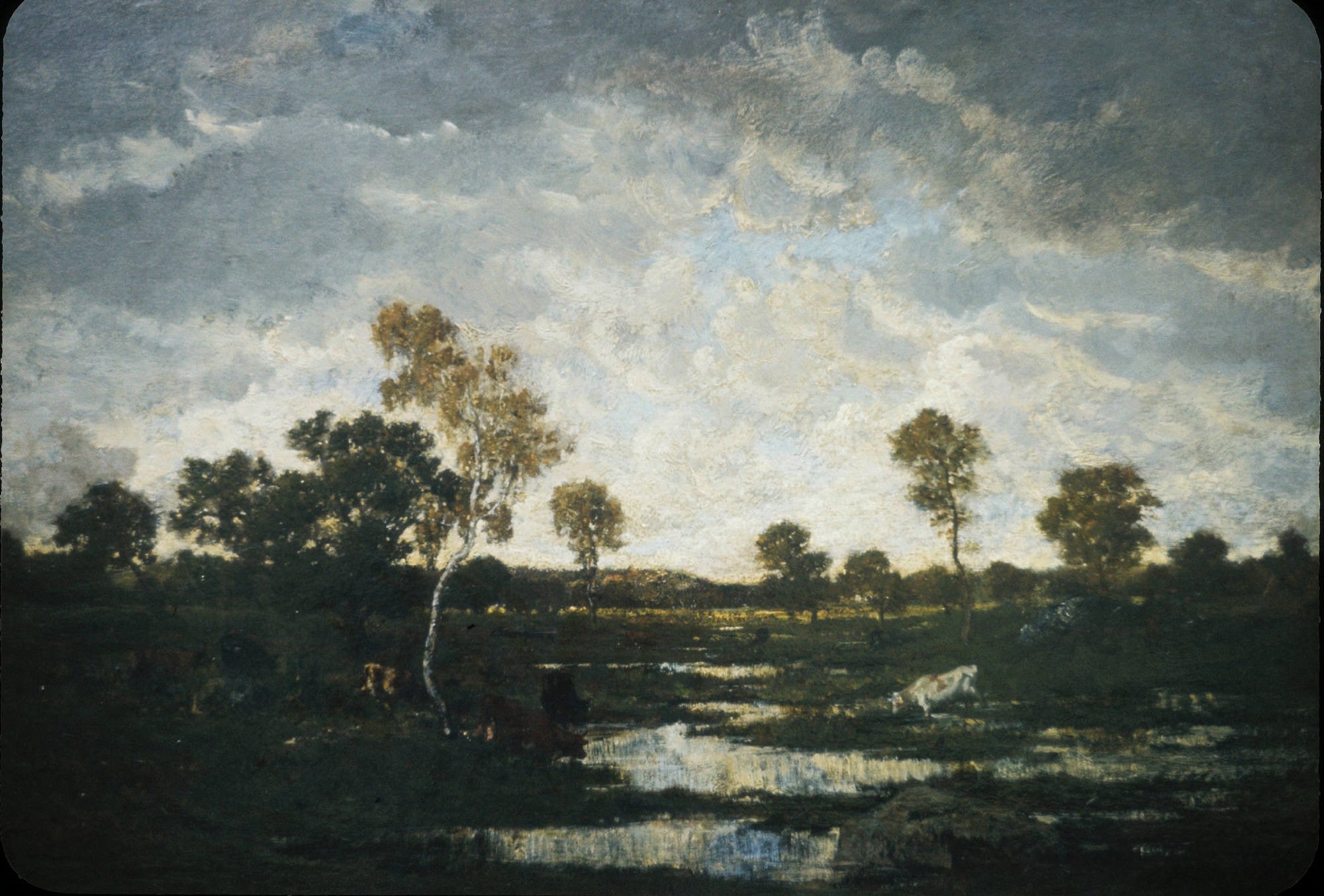 Plaine de Chailly - Théodore Rousseau