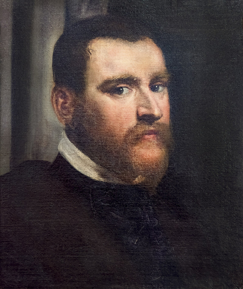 Venedik asilzadesi Zuan Pietro Ghisi'ye atfedilen portre - Jacopo Tintoretto