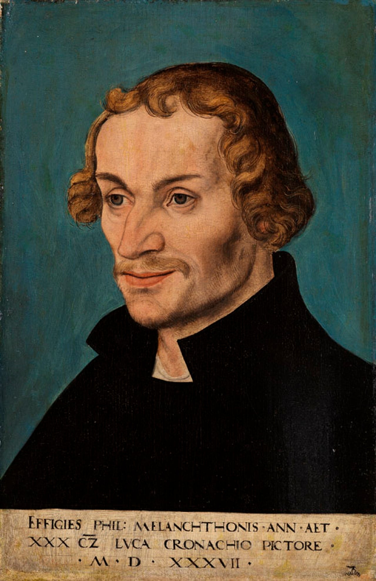 Portrait de Philipp Mélanchthon - Lucas Cranach the Elder