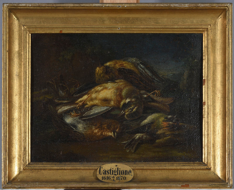 Tote Vögel - Giovanni Benedetto Castiglione