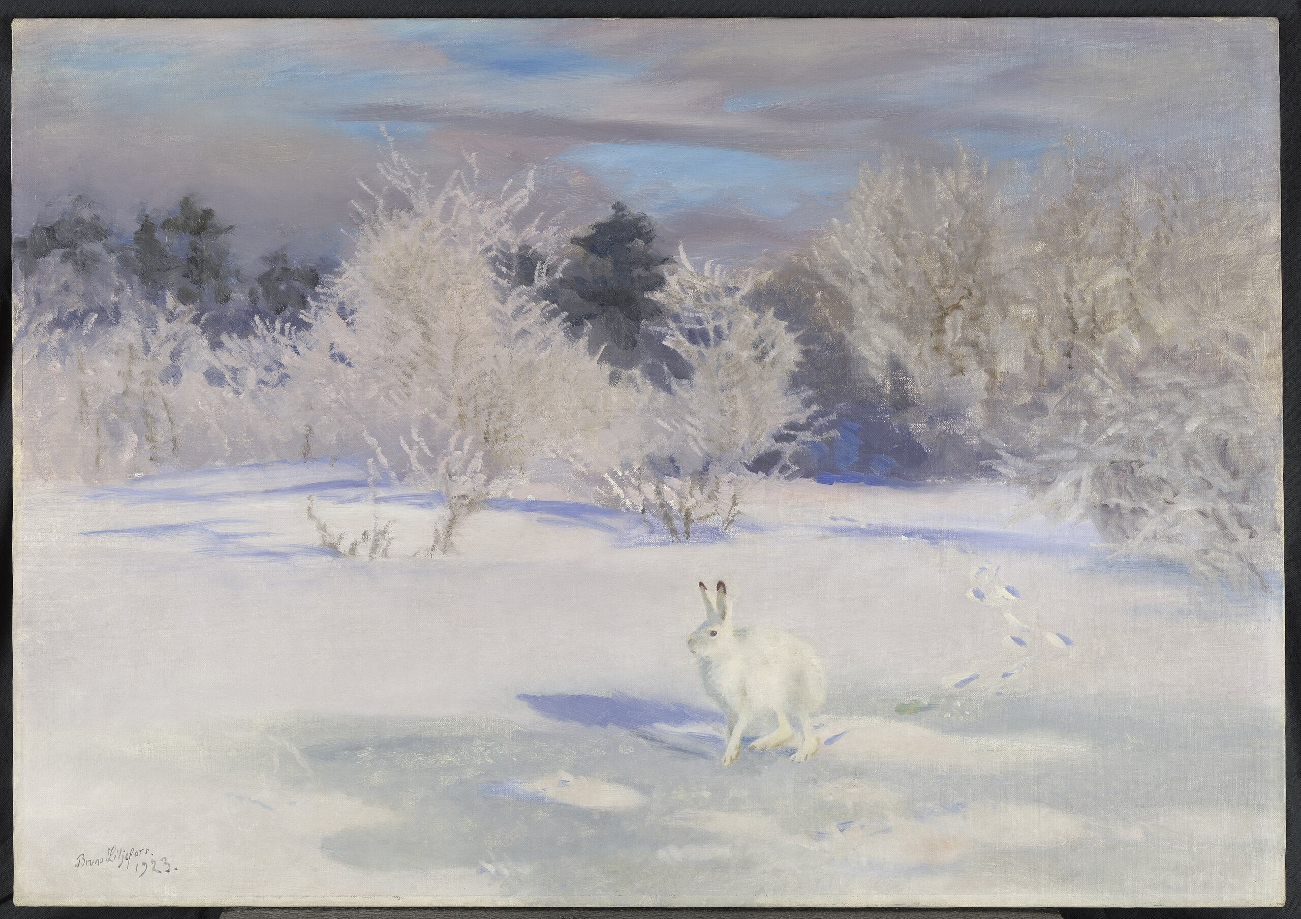 Q43084660 - Bruno Liljefors