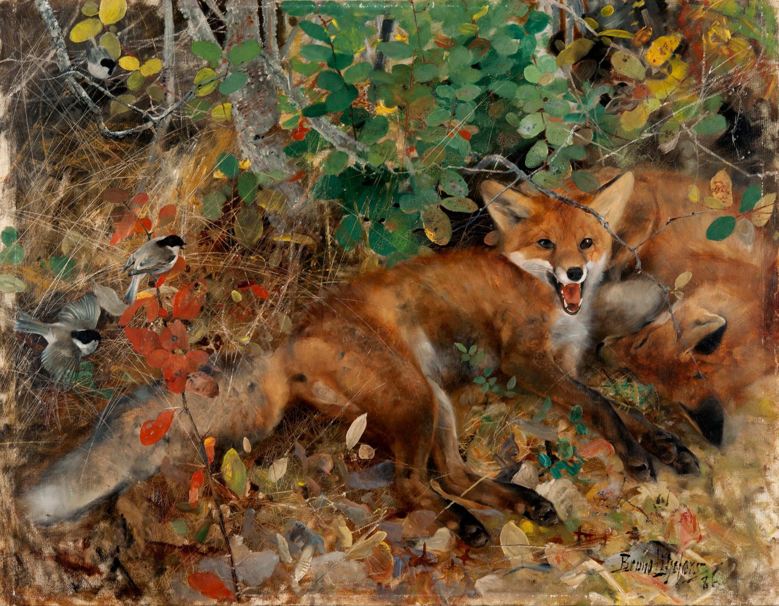 Renards - Bruno Liljefors