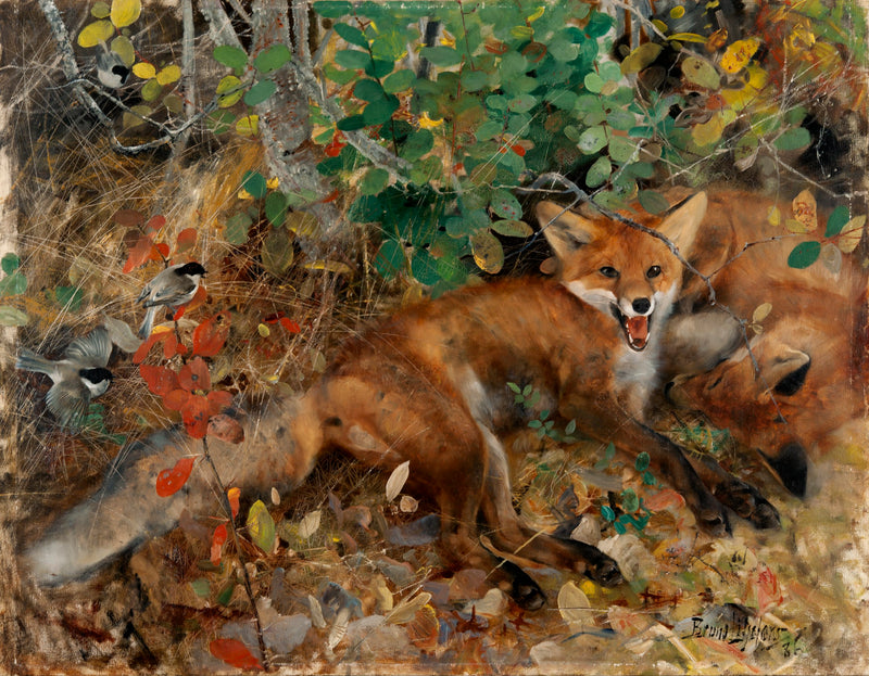 Renards - Bruno Liljefors