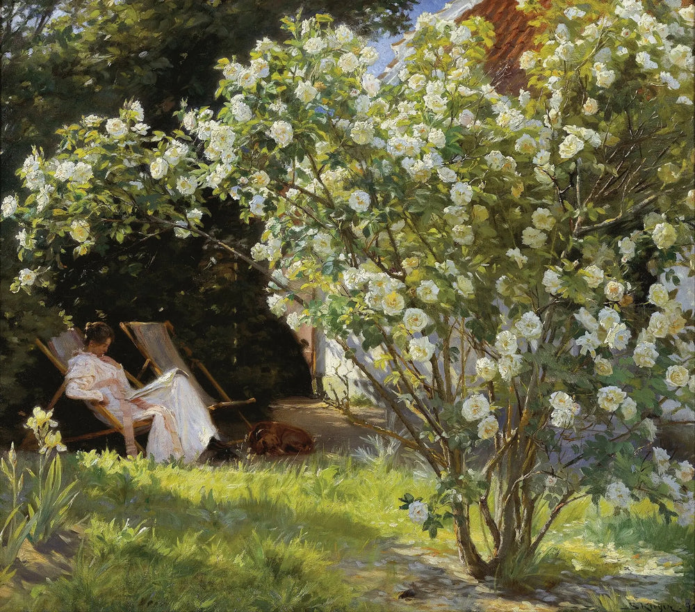 Roses - Peder Severin Krøyer - Alpha Reproduction