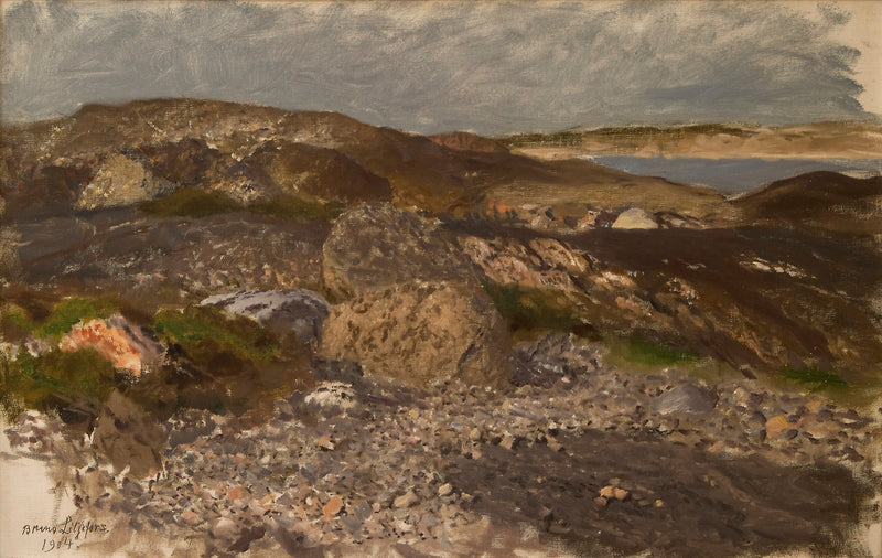 Terrain rocailleux - Bruno Liljefors